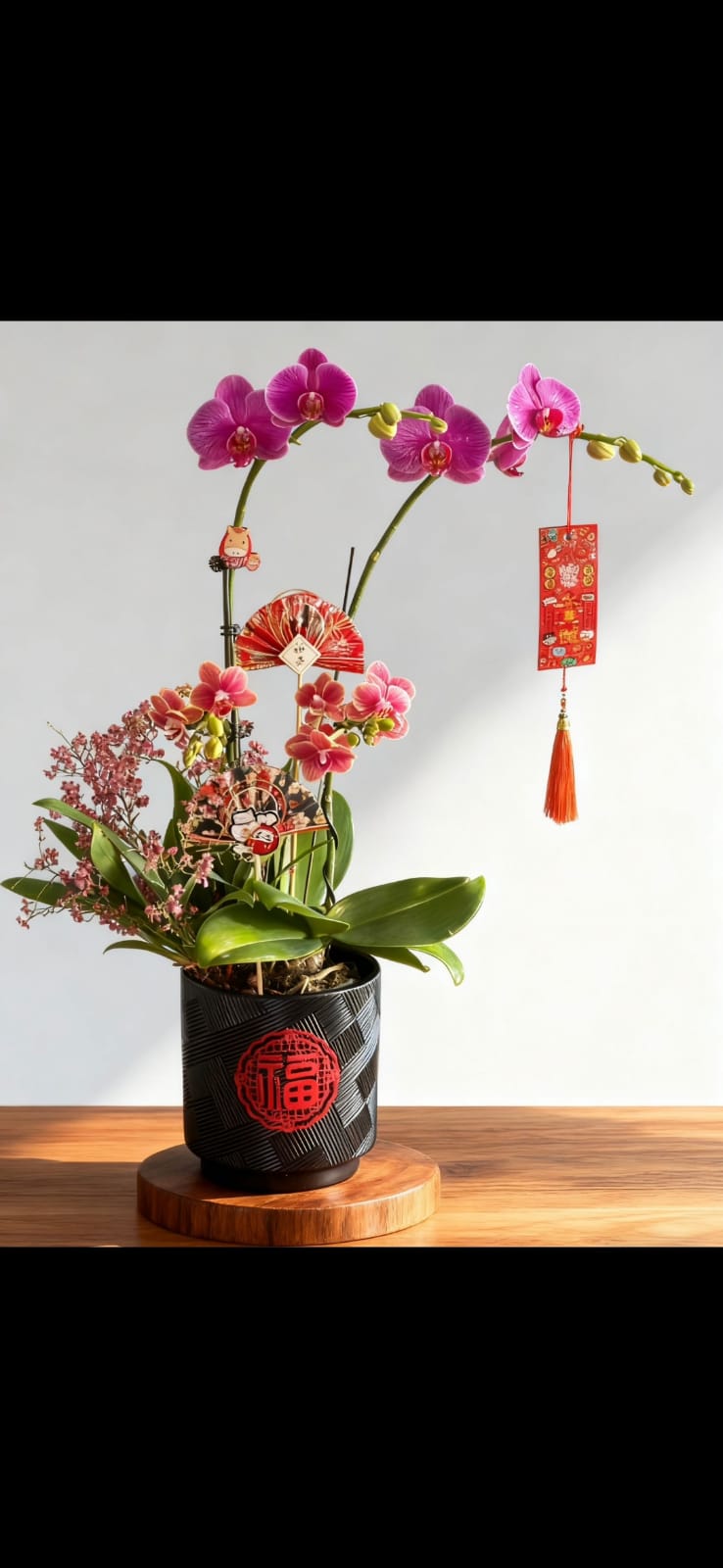 WhatsApp Image 2026-01-13 at 12.20.50 PM.jpeg